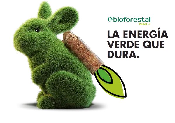 La energia verde que dura